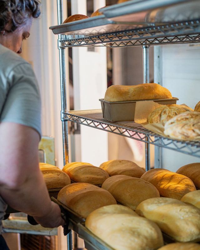 Trays of golden bread rolls and loaves on a rack